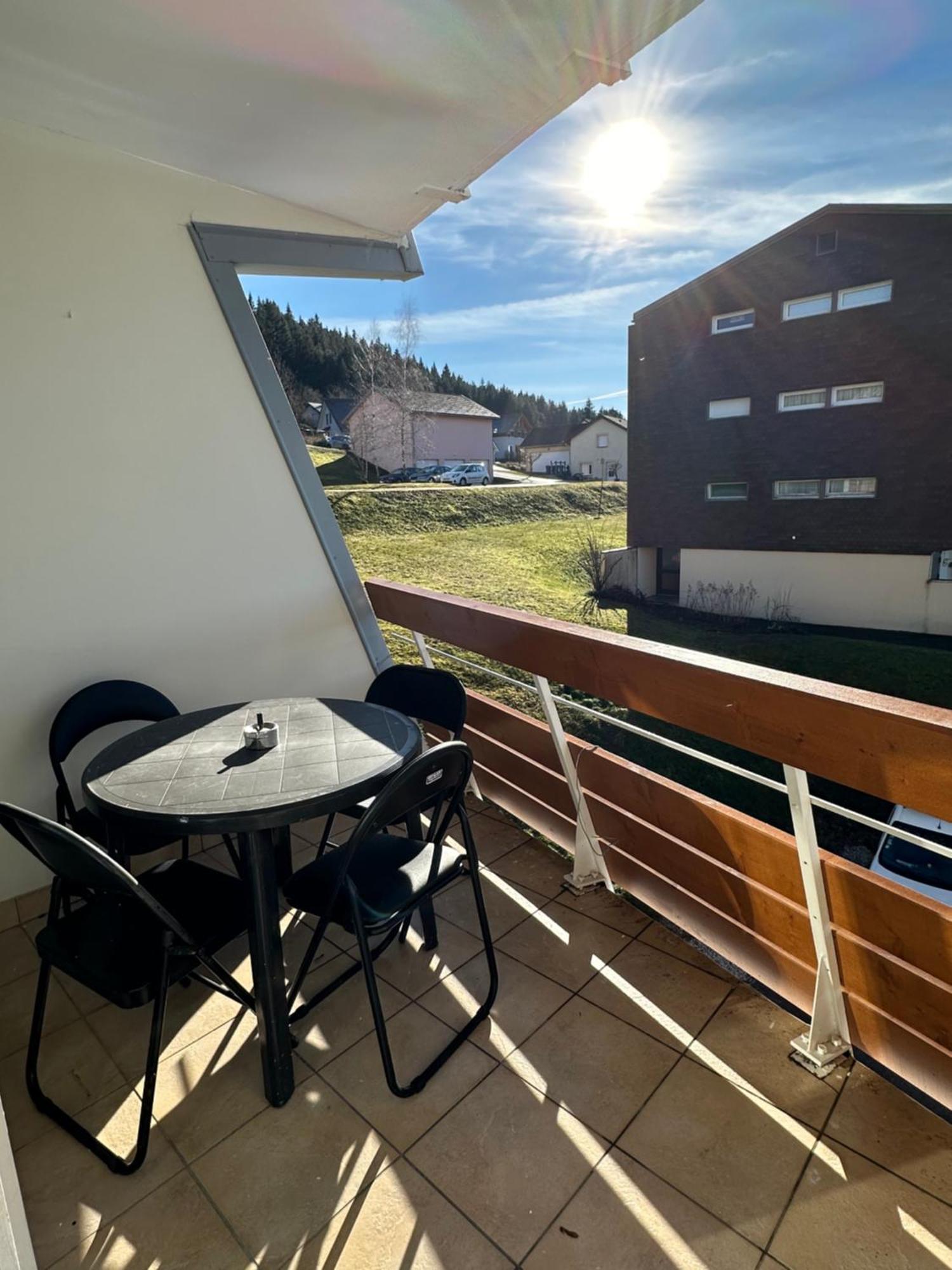 Studio « Le Petit Montagnard » มาลบุยซอง ภายนอก รูปภาพ