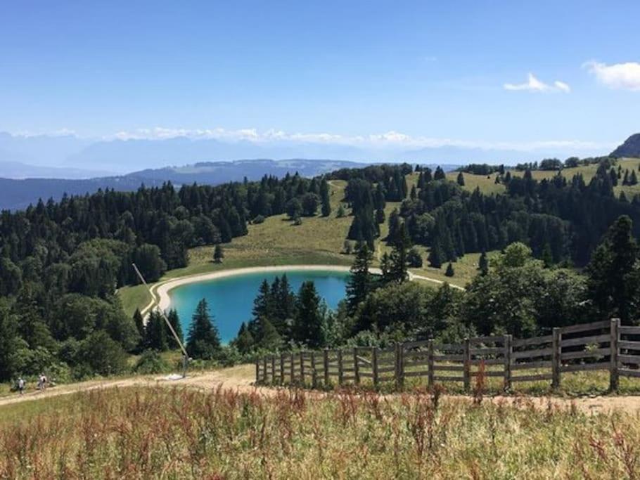 Studio « Le Petit Montagnard » มาลบุยซอง ภายนอก รูปภาพ