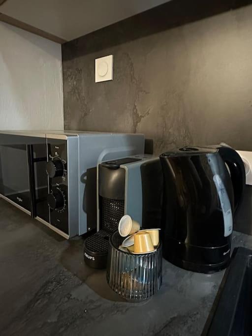 Studio « Le Petit Montagnard » มาลบุยซอง ภายนอก รูปภาพ