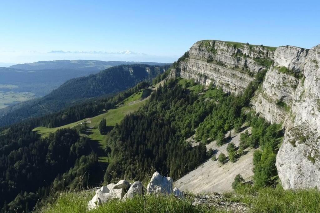 Studio « Le Petit Montagnard » มาลบุยซอง ภายนอก รูปภาพ