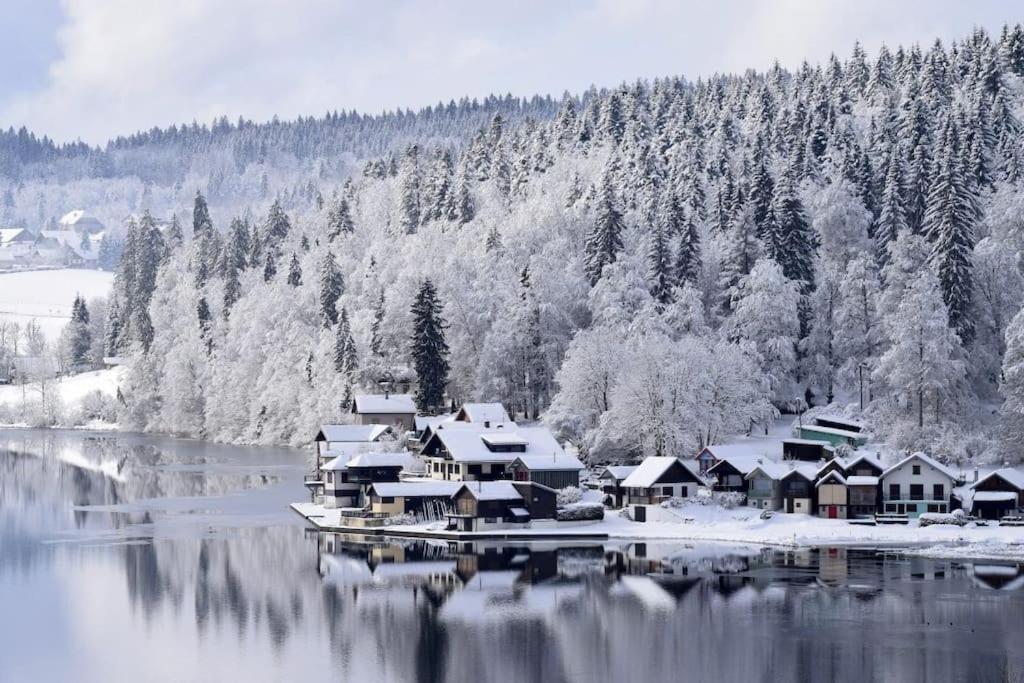 Studio « Le Petit Montagnard » มาลบุยซอง ภายนอก รูปภาพ